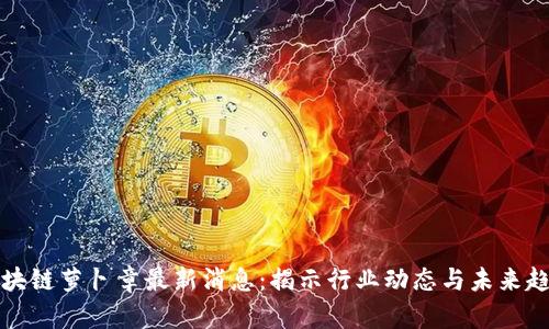 区块链萝卜章最新消息：揭示行业动态与未来趋势