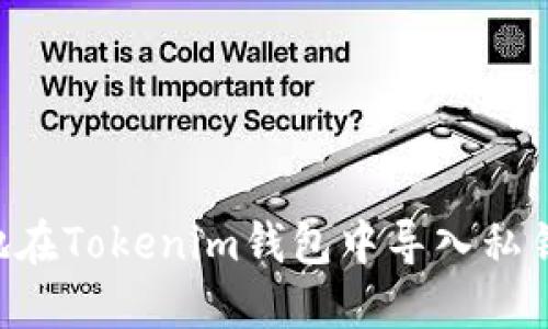 如何安全地在Tokenim钱包中导入私钥：详细指南