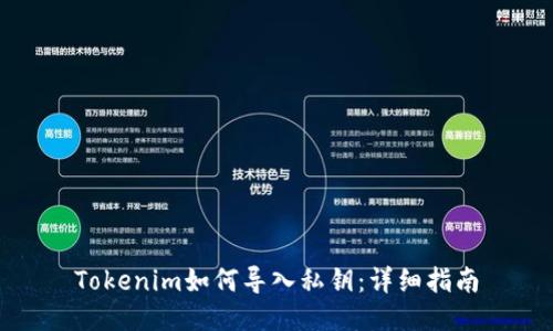 Tokenim如何导入私钥：详细指南