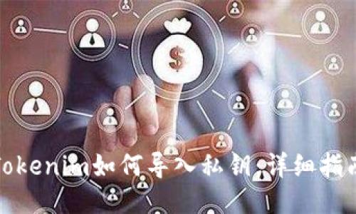 Tokenim如何导入私钥：详细指南