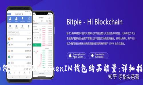 如何通过TokenTokenIM钱包购买能量：详细指南