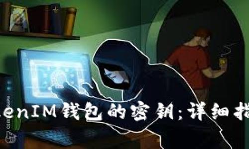 如何找回TokenTokenIM钱包的密钥：详细指南与常见问题解答