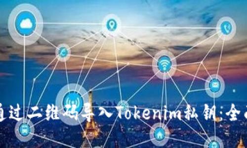 如何通过二维码导入Tokenim私钥：全面指南