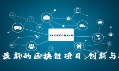 探索美国最新的区块链项目：创新与挑战并存