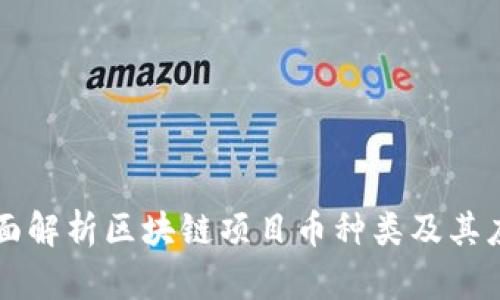 全面解析区块链项目币种类及其应用