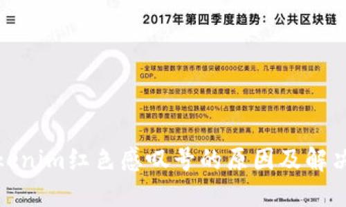 : Tokenim红色感叹号的原因及解决方法