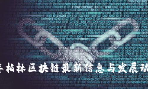 2023年柏林区块链最新信息与发展动向分析