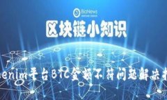 Tokenim平台BTC金额不符问题解决指南