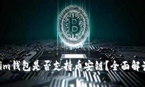 Tokentokenim钱包是否支持币安链？全面解读及用户指南