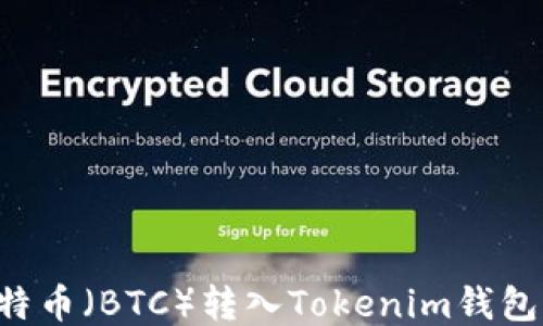 
如何将比特币（BTC）转入Tokenim钱包：全面指南