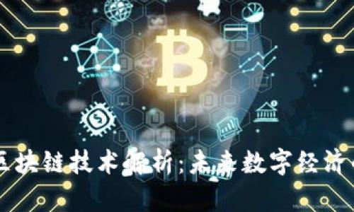 币链区块链技术解析：未来数字经济的基石