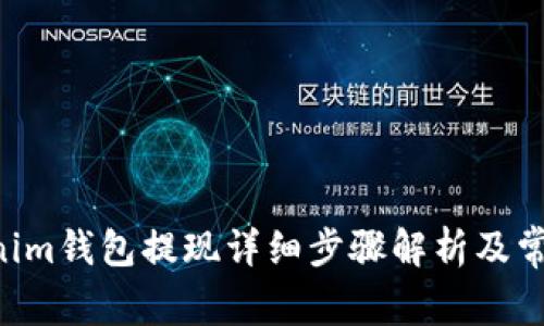 Tokentokenim钱包提现详细步骤解析及常见问题解答
