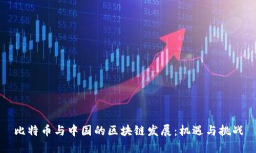 比特币与中国的区块链发展：机遇与挑战