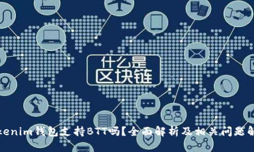 Tokenim钱包支持BTT吗？全面解析及相关问题解答