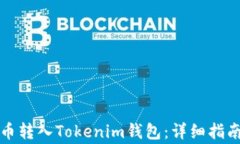 如何将人民币转入Tokenim钱包：详细指南与注意事