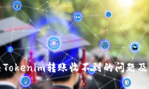 如何解决Tokenim转账收不到的问题及注意事项