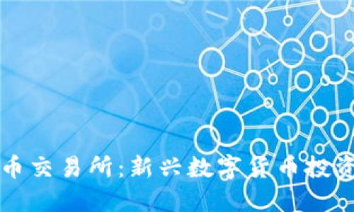 区块链二线币交易所：新兴数字货币投资的理想选择