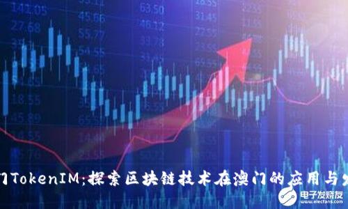 澳门TokenIM：探索区块链技术在澳门的应用与发展