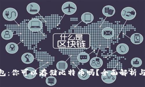 Tokenim钱包：你可以存储比特币吗？全面解析与安全性分析