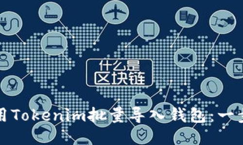 如何使用Tokenim批量导入钱包：一步步指南