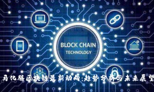马化腾区块链最新动向：趋势分析与未来展望