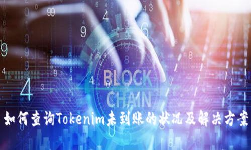 如何查询Tokenim未到账的状况及解决方案