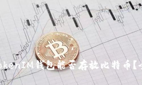 TokentokenIM钱包能否存放比特币？全面解析