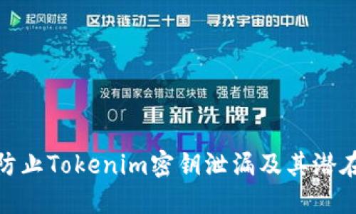 如何防止Tokenim密钥泄漏及其潜在影响