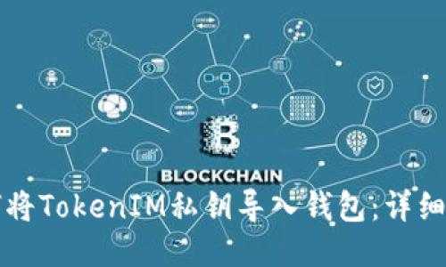 如何将TokenIM私钥导入钱包：详细指南