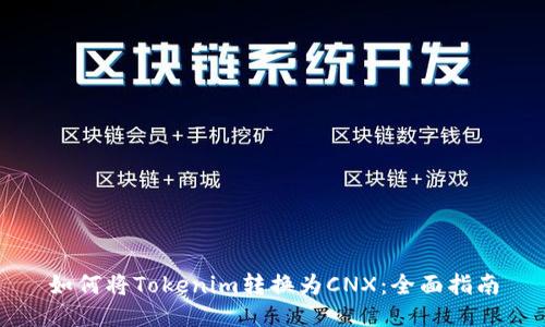 如何将Tokenim转换为CNX：全面指南