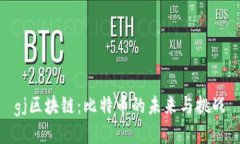 gj区块链：比特币的未来与挑战