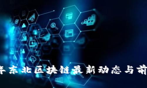 2023年东北区块链最新动态与前景分析