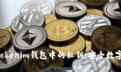深入了解TokenTokenim钱包中的私钥：安全数字资产管理的关键