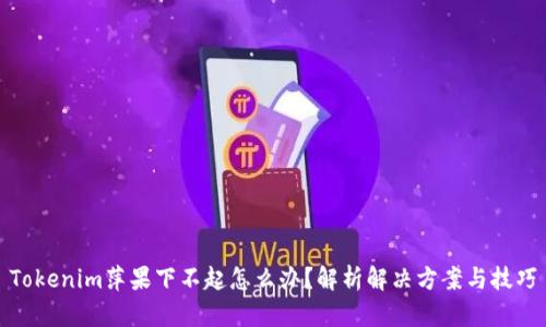 Tokenim萍果下不起怎么办？解析解决方案与技巧