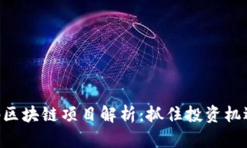 2023最新版首码区块链项目解析：抓住投资机遇，开启财富之路!