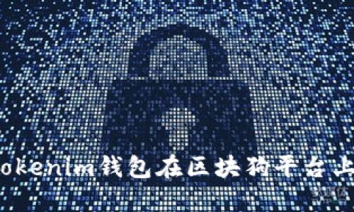 如何使用Tokenim钱包在区块狗平台上安全付款？