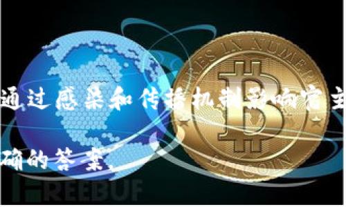 Tokenim 并不是一个广为人知的术语或品牌，因此很难正确判断它是否与病毒有关。通常，病毒（包括计算机病毒和生物病毒）是指能够通过感染和传播机制影响宿主的病原体。如果 Tokenim 是某种软件或技术的名称，可能涉及加密货币或区块链技术，而这些领域的某些项目在声誉上可能会有争议。

如果你想了解关于 Tokenim 是否为病毒的具体信息，请提供更多上下文或详细信息，例如它的功能、应用领域等，这样我才能给出更准确的答案。