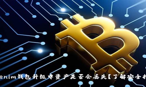 Tokentokenim钱包升级中资产是否会丢失？了解安全措施与保障