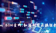 深入解析Tokenim BTM主网：如何利用区块链技术实现