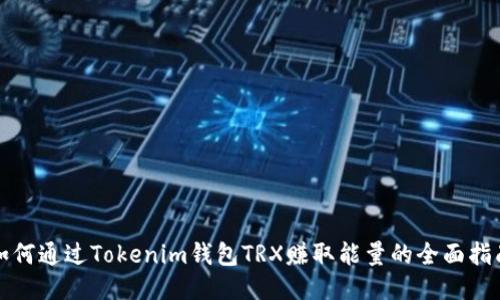 如何通过Tokenim钱包TRX赚取能量的全面指南