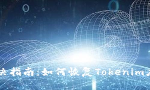手机故障解决指南：如何恢复Tokenim应用访问权限
