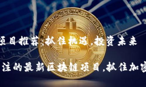 最新区块链新项目推荐：抓住机遇，投资未来

2023年值得关注的最新区块链项目，抓住加密货币投资机遇