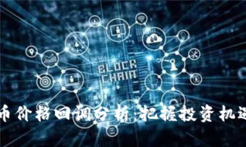 区块链主流币价格回调分析：把握投资机遇与风险管理