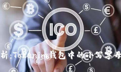 以太坊私钥安全性解析：Tokenim钱包中的小写字母使用对你有什么影响