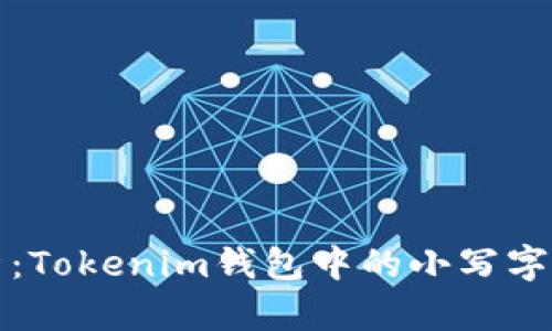 以太坊私钥安全性解析：Tokenim钱包中的小写字母使用对你有什么影响