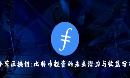小葱区块链：比特币投资的未来潜力与收益分析