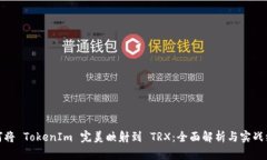 如何将 TokenIm 完美映射到 TRX：全面解析与实战经