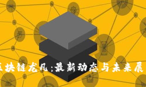 区块链龙凡：最新动态与未来展望
