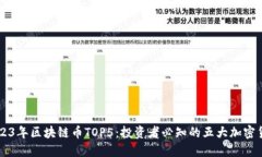 2023年区块链币TOP5：投资者必知的五大加密货币