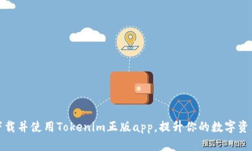 如何安全下载并使用Tokenim正版app，提升你的数字资产管理效率